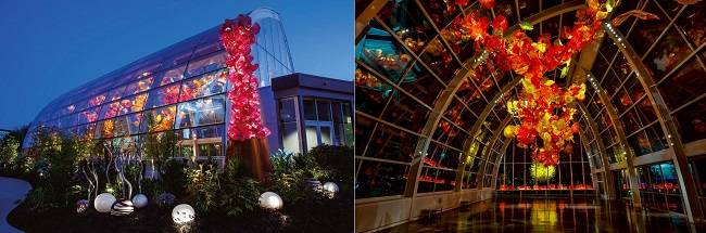 미국 시애틀 ‘치훌리 가든 앤 글라스’의 ‘글라스하우스’. 오른쪽은 글라스하우스 내부의 모습. 유리로 만든 꽃잎 넝쿨 작품은 치훌리의 유리 조각상 중 가장 규모가 크다. /사진 제공=데일 치훌리