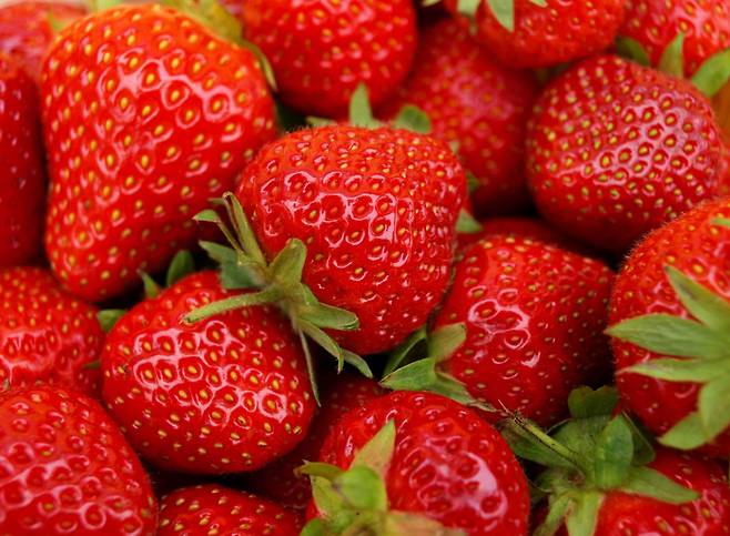 [사진=헤럴드DB]