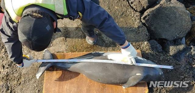 ⓒ제주해양경찰서