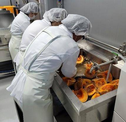 남해군 농산물종합가공센터의 농산물 가공 교육 [남해군 제공. 재판매 및 DB 금지]