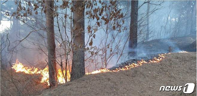 17일 오후 3시58분쯤 강원 동해 부곡동의 한 야산에서 산불이 발생했다. (강원도소방본부 제공) © 뉴스1