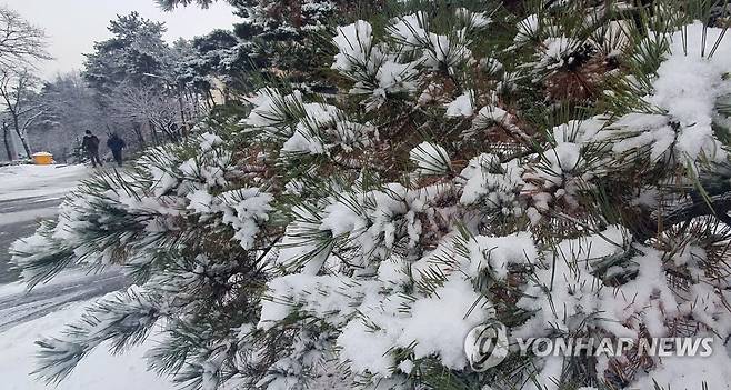눈 쌓인 대학 캠퍼스 [연합뉴스 자료사진]