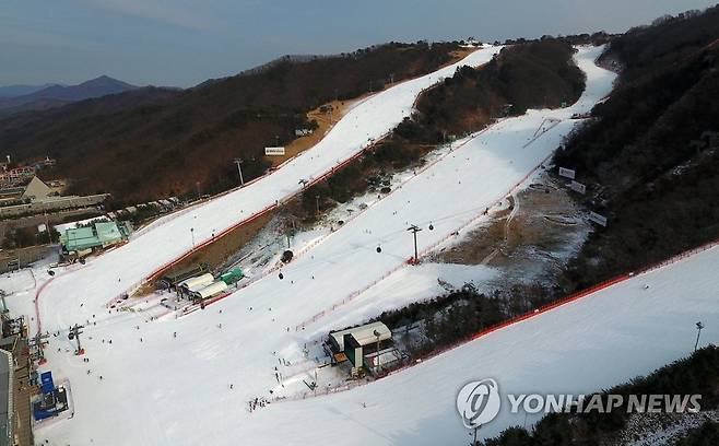 다시 문 연 스키장…슬로프는 한산 [연합뉴스 자료사진]