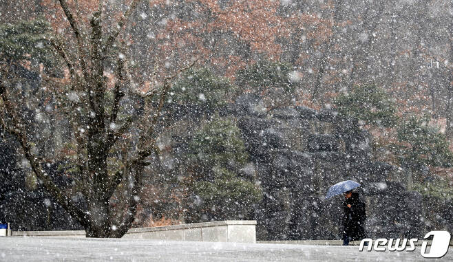 26일 오전 충북 청주대학교 캠퍼스에서 우산을 쓴 시민들이 눈을 맞으며 발걸음을 옮기고 있다. 2019.12.26 /뉴스1 © News1 김용빈 기자