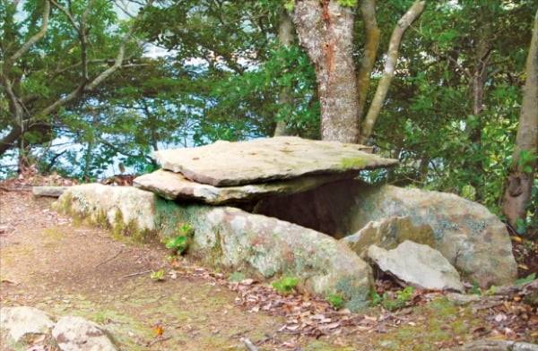 대마도 북부 조일산고분군의 석관묘. 돌판을 이용해 상자식으로 만든 전형적인 한반도 양식이다.