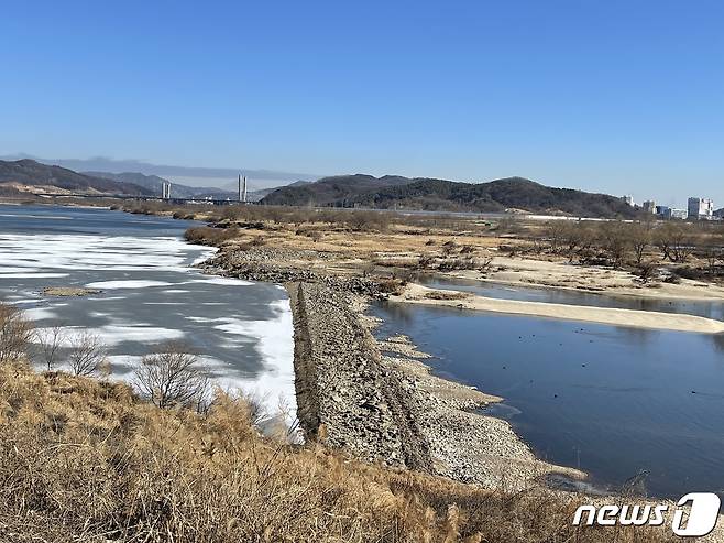 현재 세종보 모습. (국민의힘 세종시당 제공) 2021.1.19 © 뉴스1