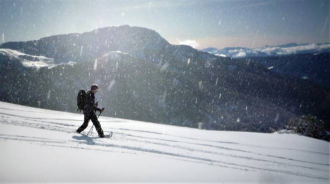 도미니크가 바람이 휘날리는 설연 사이를 고독하게 걷고 있다.