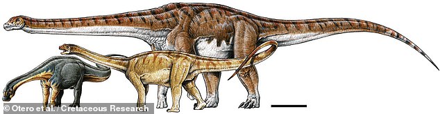 용각류 크기 비교 이미지. 리마이사우루스(왼쪽부터), 안데사우루스 그리고 티타노사우루스로 추정되는 MOZ-Pv 1221 공룡 표본.(사진=백악기 연구)