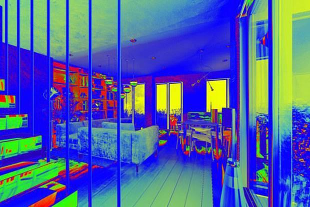 적추체, 녹추체, 청추체로 구성된 원추세포 덕에 우리는 적색과 녹색, 청색을 감지할 수 있다. 하지만 개와 고양이는 원추세포 수도 적고 그 종류도 부족해 모든 색을 구별하지는 못한다. 사진은 뱀의 눈으로 본 집 안을 이미지화한 것.