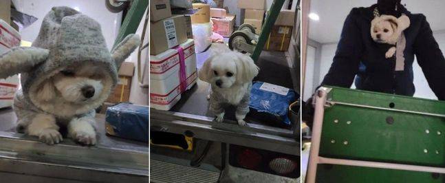 아빠의 배송업무를 함께 하는 경태. 온라인커뮤니티