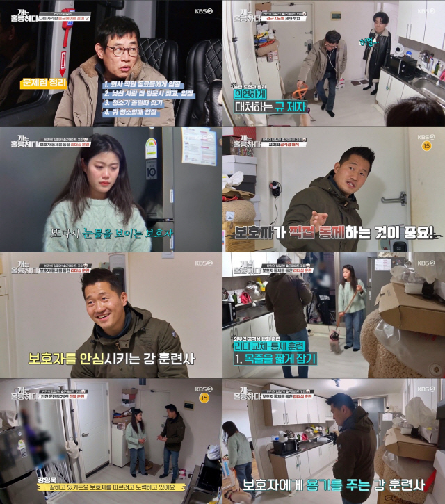 /사진 제공=KBS2 ‘개는 훌륭하다’ 영상 캡처