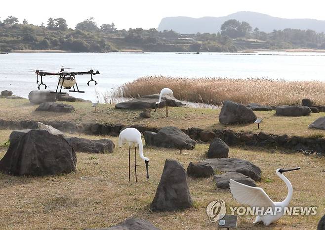 철새도래지 조류인플루엔자 방역하는 드론 [연합뉴스 자료 사진]