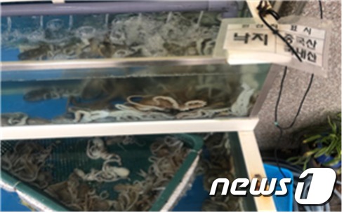 도내 한 판매장에 진열된 원산지가 불분명한 수산물. /© 뉴스1