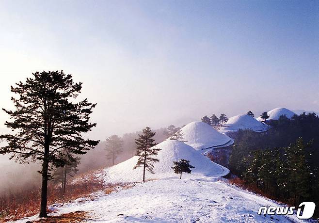 고령 지산동 고분군 (경북도문화관광공사 제공)2021.1.20/© 뉴스1