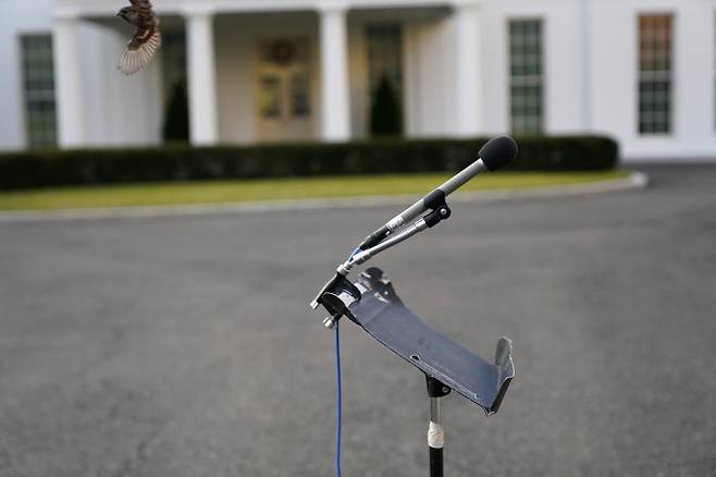 19일 백악관 웨스트 윙 앞뜰의 마이크 위로 새가 날고 있다. 도널드 트럼프 대통령이 외부 행사로 백악관을 나설 때마다 언론 앞에 섰던 곳이다. 트럼프 대통령의 임기 마지막날인 이날 백악관엔 으스스한(eerie) 정적만 흘렀다. 트럼프 대통령은 일주일 전인 12일 이후 공식 일정 없이 임기 마지막 날을 맞았다. AP=연합뉴스