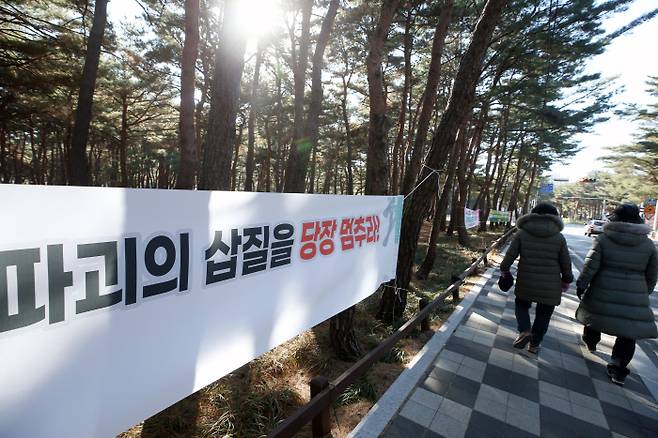 강릉 해변 소나무숲 파괴 그만 강원 강릉시 해변 소나무숲에 20일 사회단체들이 ‘파괴의 삽질을 당장 멈추라’며 숲 지키기 현수막을 걸어놨다. 이곳 소나무숲은 최근 난개발로 위협받고 있다. 연합뉴스