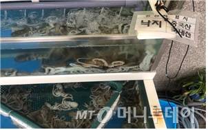 /사진제공=경기도