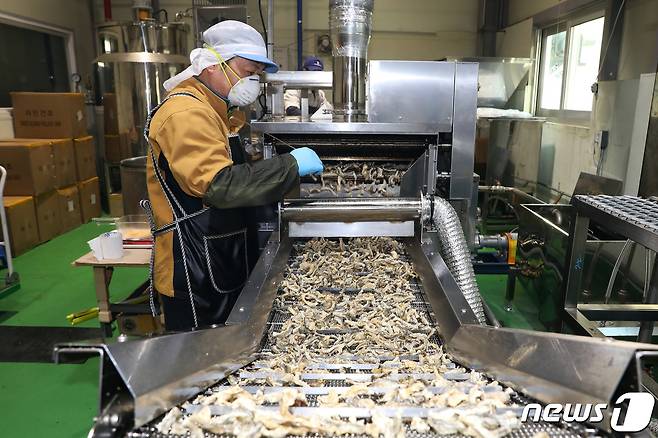 강원 인제군마케팅센터가 출시 예정인 황태껍질 부각 ‘빠태리’. (인제군 제공) © 뉴스1