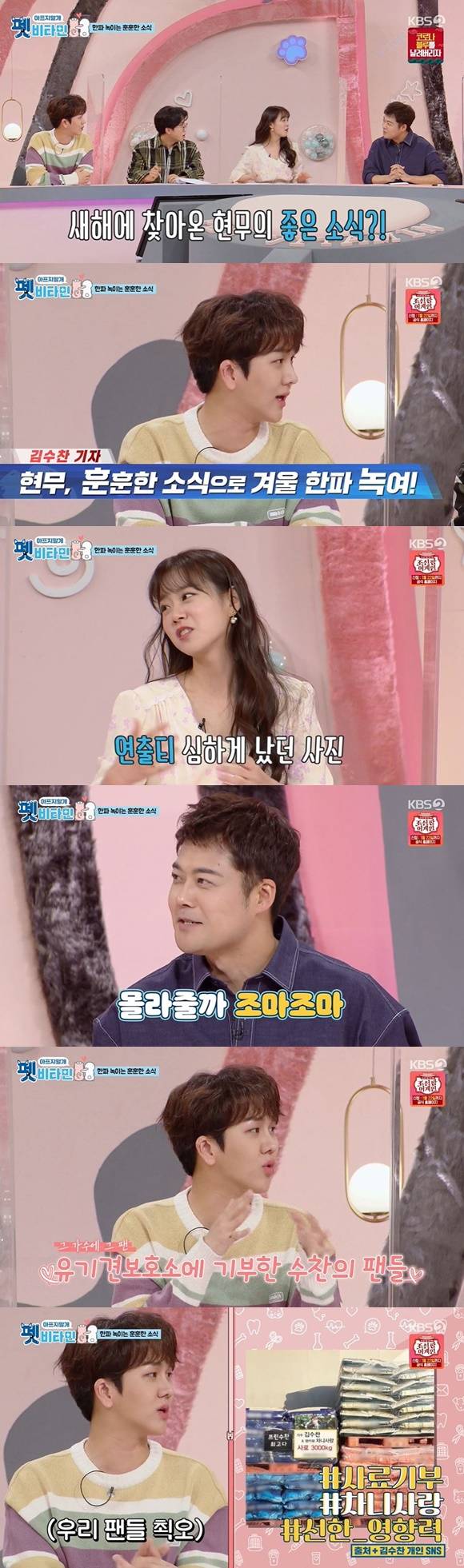 /사진= KBS 2TV 예능 '펫비타민' 방송 화면