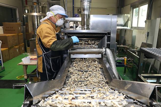 황태 껍질 부각 제조 과정 [인제군 제공. 재판매 및 DB 금지]