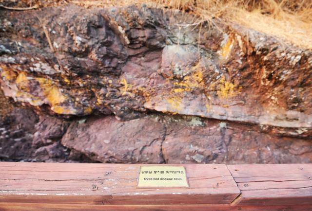 둥지 형태의 보성 공룡알화석지. ⓒ박준규