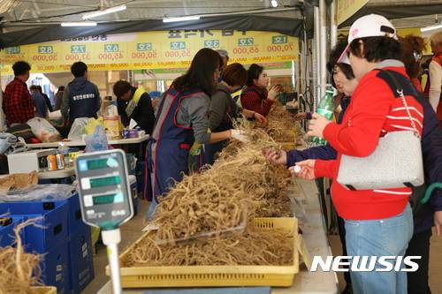 제15회 강원·홍천 인삼·한우 축제