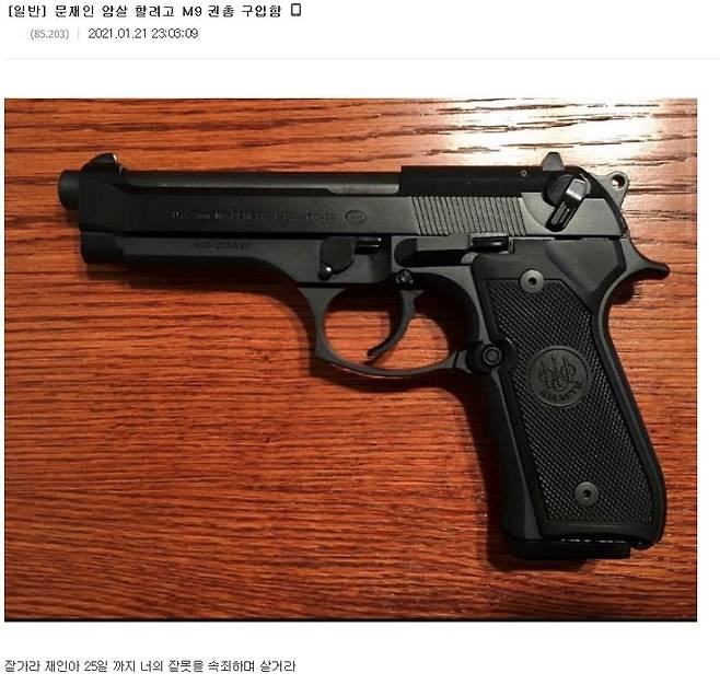 인터넷에 올라온 `대통령 암살하려 권총 샀다' 글 [디시인사이드 캡처]