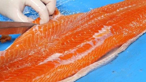 강원도 환동해본부 한해성수산자원센터에서 양식 연구 중인 대서양연어의 속살이 선홍색을 띠고 있다. 왕준열PD