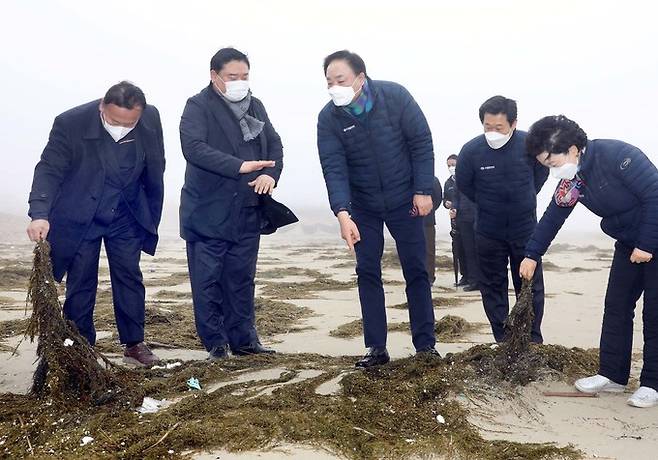 임준택 수협중앙회장(사진 중앙)이 22일 전남 신안군 양산해변에서 괭생이모자반 피해 상황을 점검하고 있다. 수협 제공