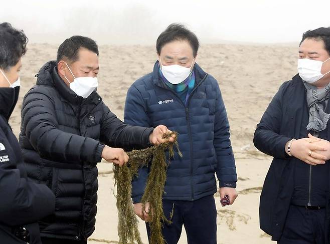 임준택 수협중앙회장(사진 우측에서 두번째)이 22일 전남 신안군 양산해변에서 괭생이모자반 피해 상황을 점검하고 있다