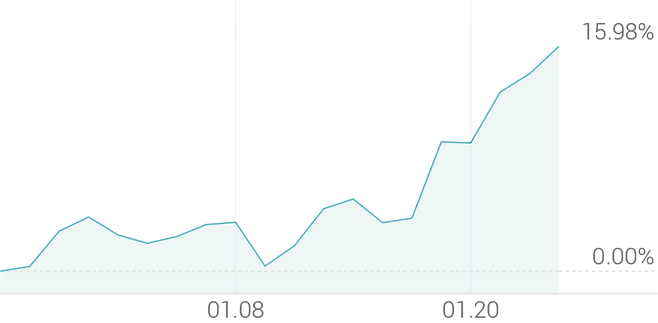 1개월 등락률 +16.31%