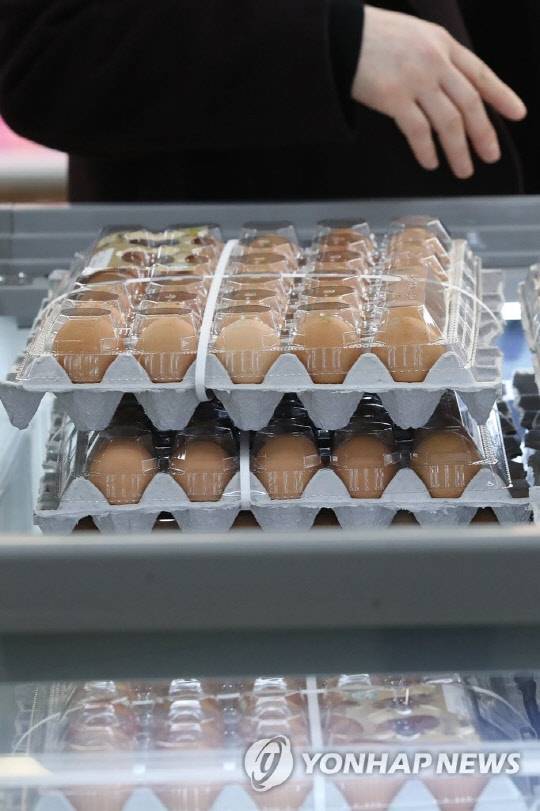 사진은 24일 서울의 한 마트에서 달걀을 고르는 시민. 연합뉴스.