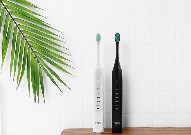투블레드 전동칫솔