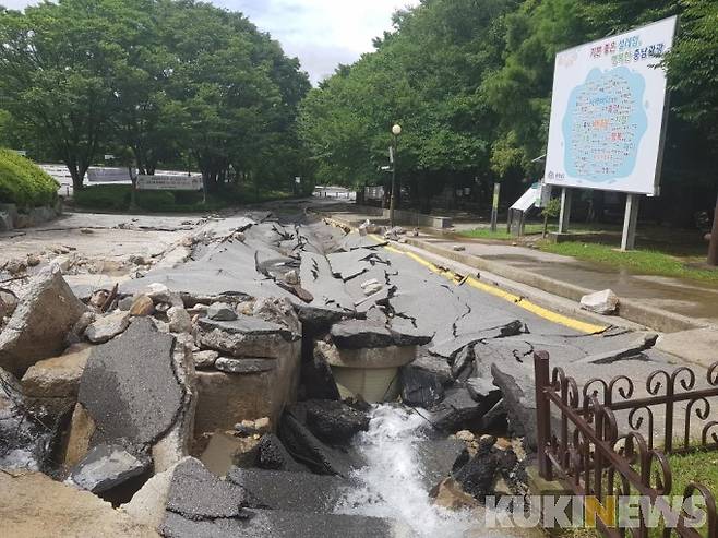 태조산공원 피해상황 모습.