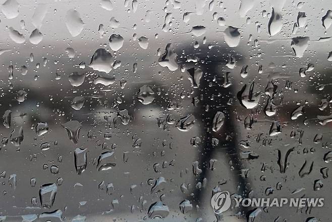 겨울비 뚝뚝 [연합뉴스 자료사진]