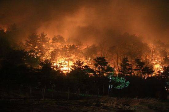 이미지 출처=연합뉴스