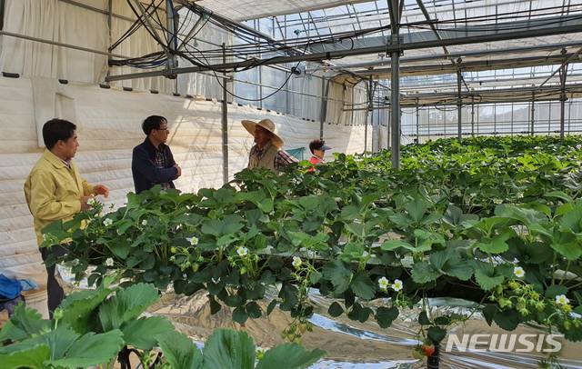 전남 고흥군의 농가 보급형 스마트팜
