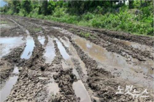 액비 유출로 훼손된 농경지.