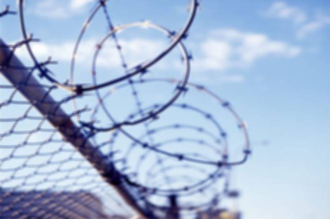 스마트이미지 제공