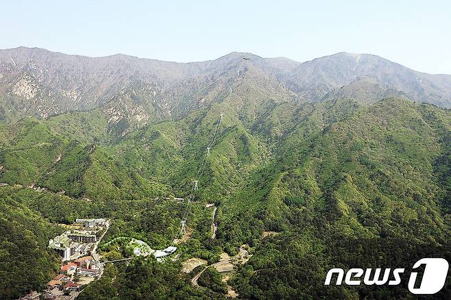 설악산 오색케이블카 조감도. (자료 사진)© News1