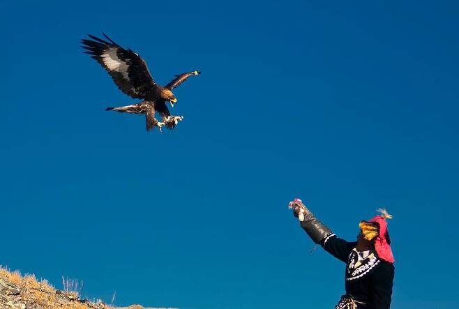 몽골인들의 오랜 역사적 전통인 독수리사냥. 어릴때 둥지에서 빼낸 검독수리를 사냥꾼으로 부리다 일정 시간이 지나면 자연으로 돌려보낸다. /MERIDIAN