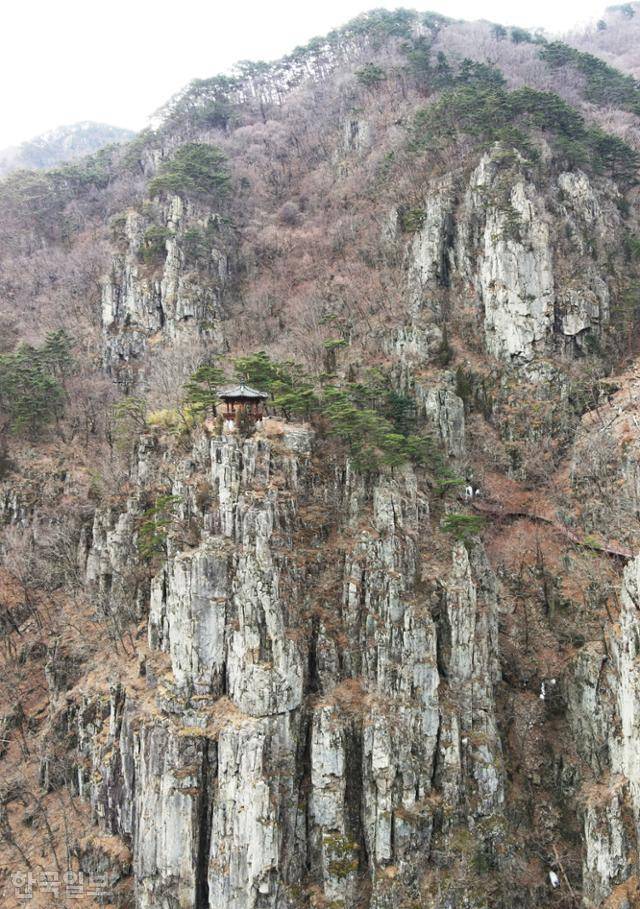 관음폭포 위 바위봉우리에 자리잡은 선일대. 곧추선 바위 단층에 꼿꼿이 소나무가 뿌리내린 모습이 겸재의 그림 그대로다.