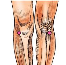 족삼리혈/사진=헬스조선 DB