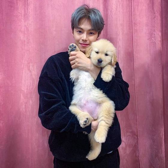 Park Eun-seok and his golden retriever Molly.  [SCREEN CAPTURE]