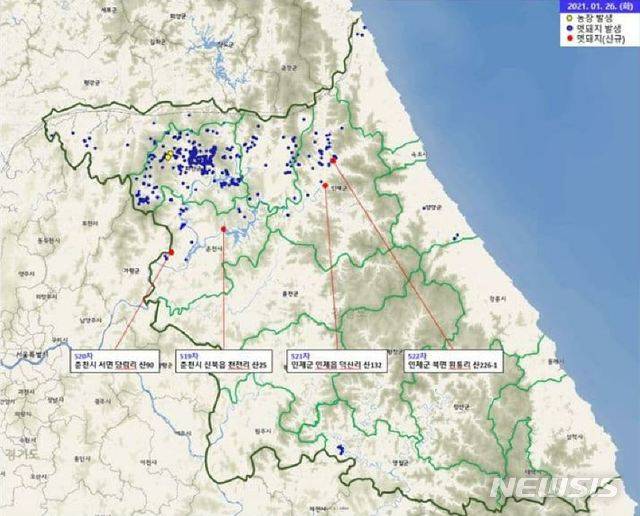 ASF 감염 멧돼지 발견지점