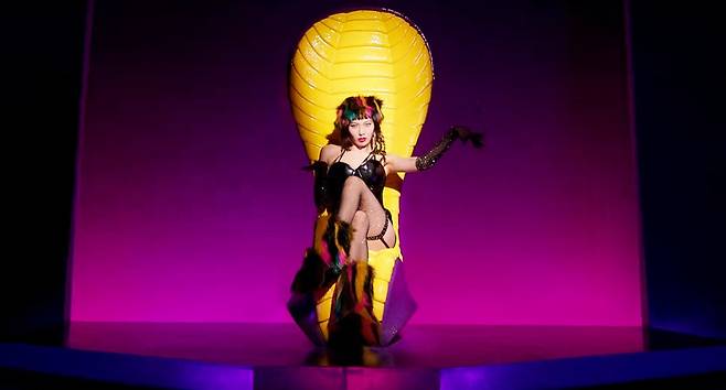 /사진제공=피네이션