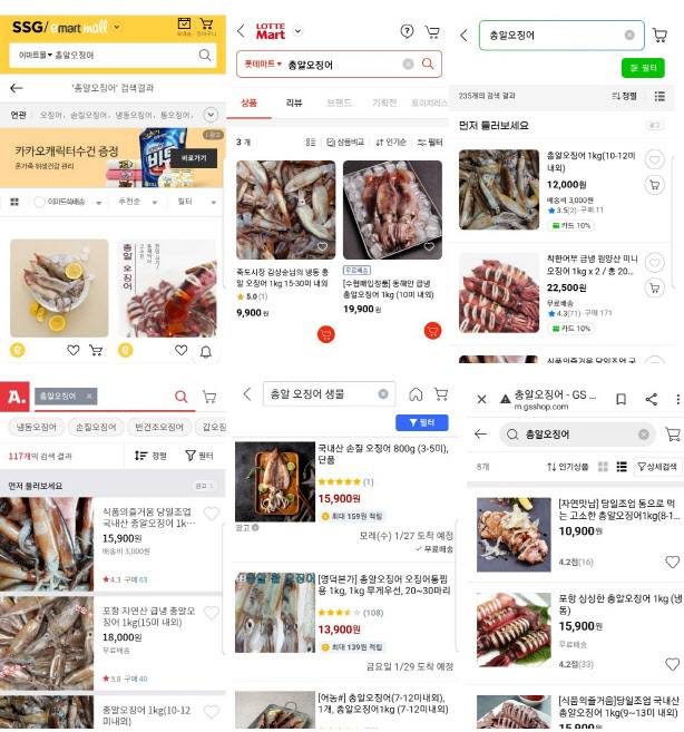 왼쪽 위부터 시계방향으로 이마트, 롯데마트, G마켓, GS홈쇼핑, 쿠팡, 옥션에서 판매하는 총알오징어 제품.(사진=각사 캡처)