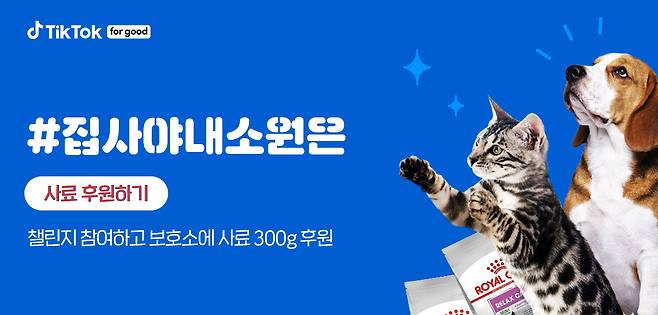 집사야 내 소원인 챌린지. 사진 로얄캐닌 제공 © 뉴스1