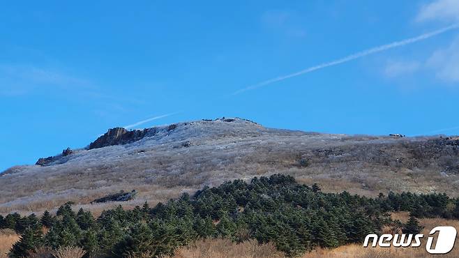 지난해 12월14일 오전 무등산국립공원 정상부 나뭇가지에 상고대가 피어 멋진 설경을 연출하고 있다. (국립공원공단 무등산국립공원사무소 제공) 2020.12.14/뉴스1 © News1 황희규 기자