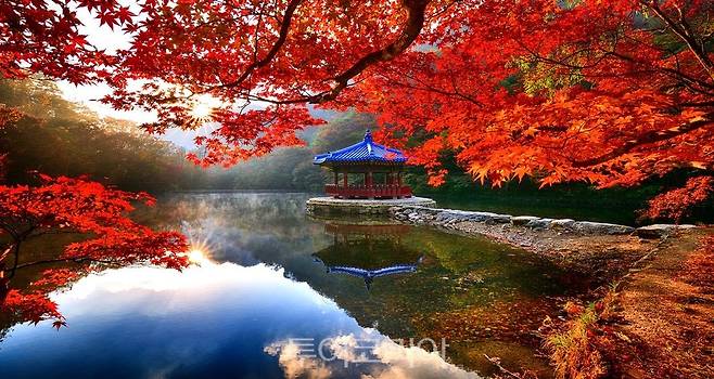 정읍 내장산 우화정 단품